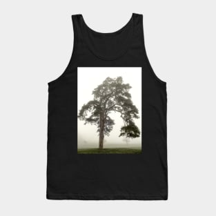 Scots Pine in fog Tank Top